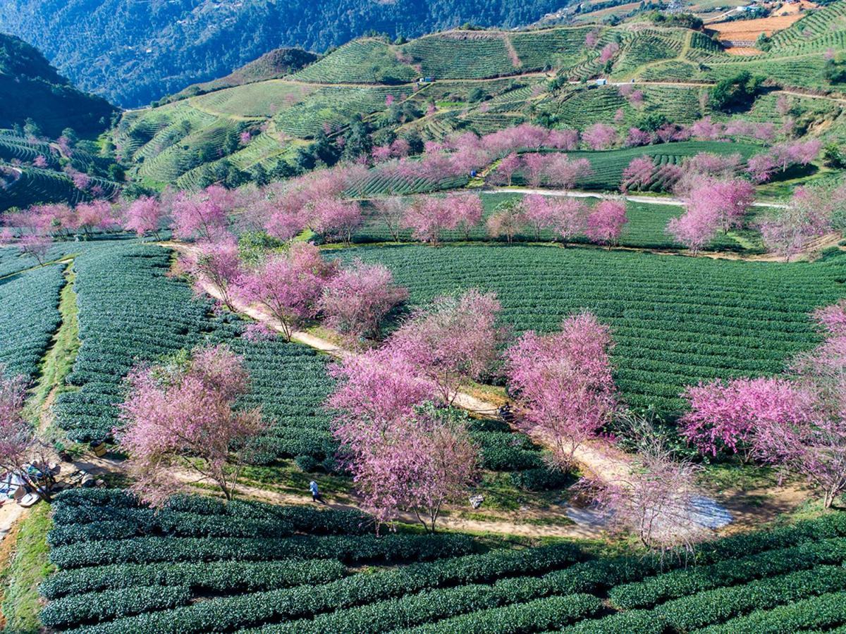 Sapa King Hotel Hung Vuong Hotel ภายนอก รูปภาพ